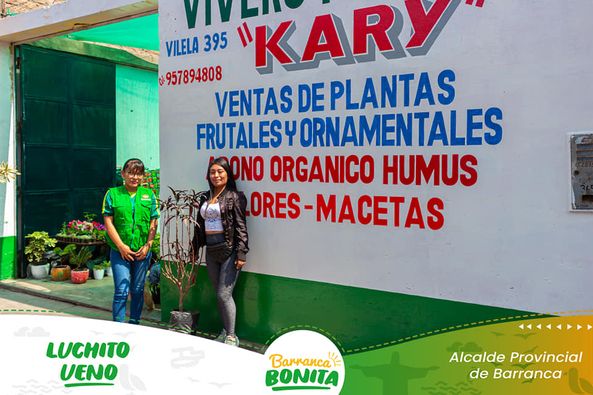 arbol
