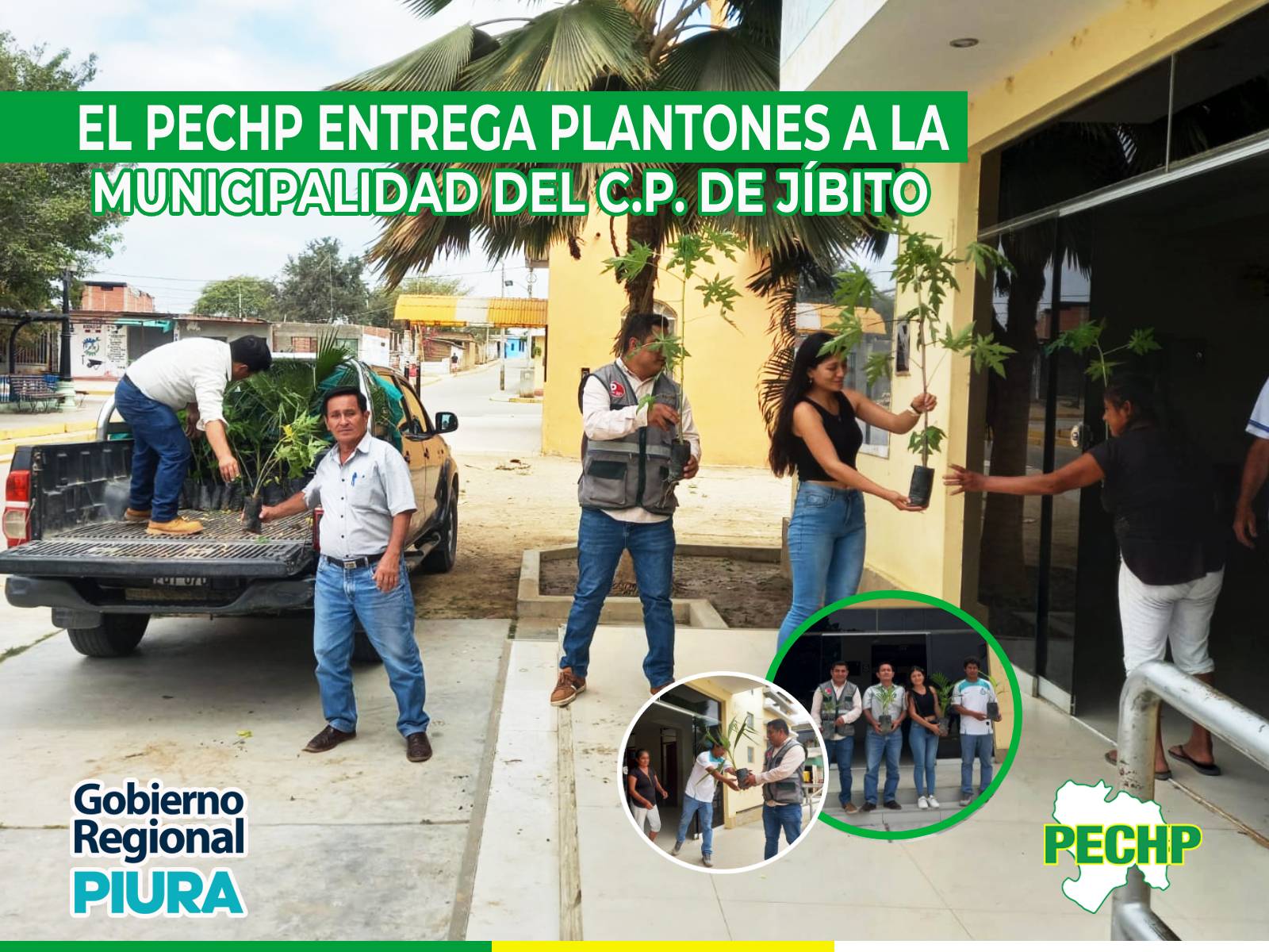 plantas 1