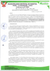 Vista preliminar de documento RESOLUCIÓN GM N° 325
