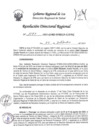 Vista preliminar de documento RDR-1187-2023