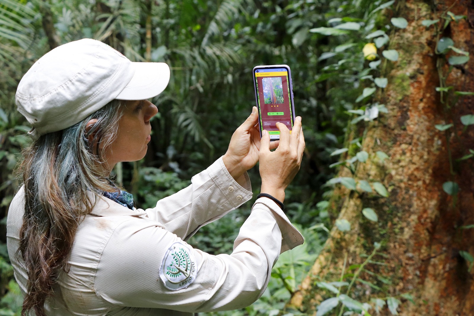 Hasta S/ 45 000 para las Mipyme: Produce financiará tecnologías digitales para adaptarse a efectos del cambio climático