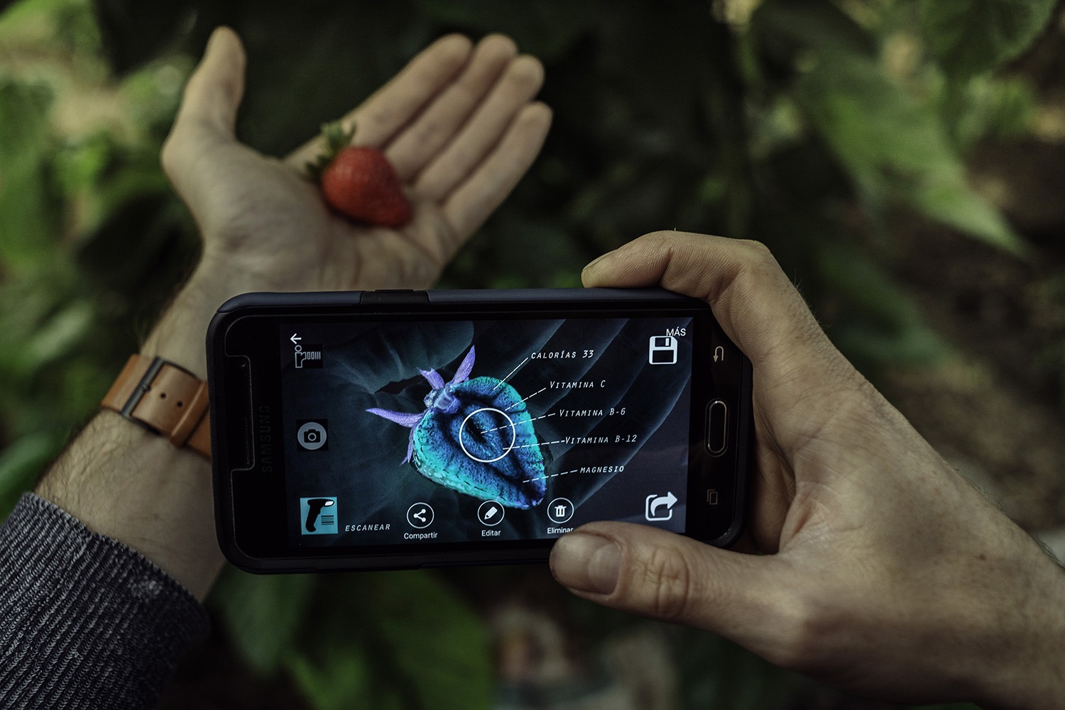 Hasta S/ 45 000 para las Mipyme: Produce financiará tecnologías digitales para adaptarse a efectos del cambio climático