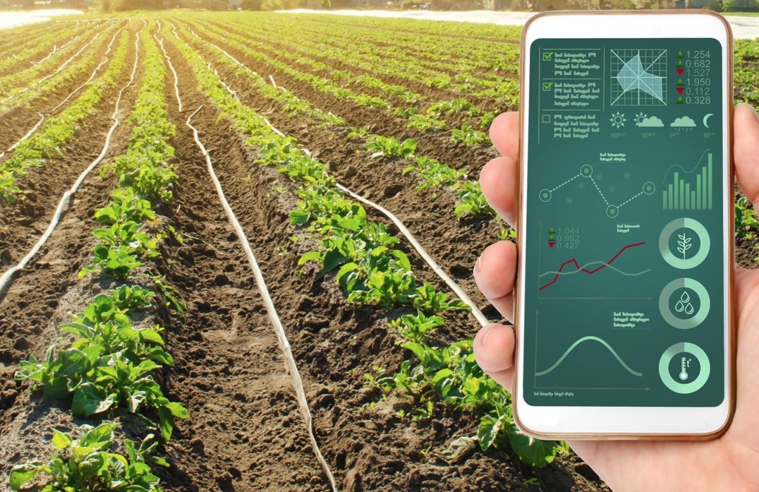 Hasta S/ 45 000 para las Mipyme: Produce financiará tecnologías digitales para adaptarse a efectos del cambio climático