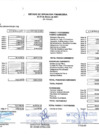 Vista preliminar de documento Estados Financieros - Marzo 2021