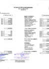 Vista preliminar de documento Estados Financieros - Julio 2021