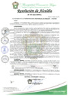 Vista preliminar de documento RESOLUCION DE ALCALDIA Nº0299-2023-MPM-A