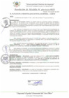 Vista preliminar de documento RA_460_2023_MDI