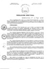 Vista preliminar de documento RD N° 197-2022-HCH-DG