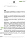 Vista preliminar de documento RDE-000207-2023-DE