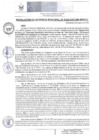 Vista preliminar de documento RGM 155 2023