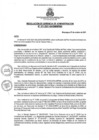 Vista preliminar de documento rga3112021gagmmpmn