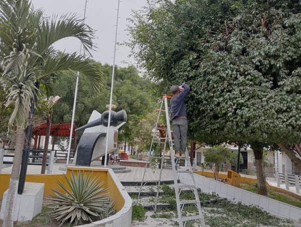Realizan Poda De Árboles En Parque Bolognesi.