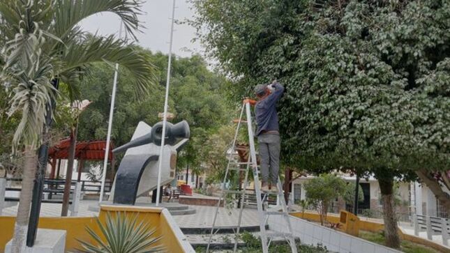 Realizan Poda De Árboles En Parque Bolognesi.
