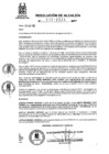 Vista preliminar de documento RA 515-2023