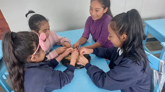 Actividades del Programa Municipal de Educación, Cultura y Ciudadanía Ambiental