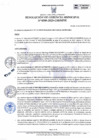 Vista preliminar de documento RGM 308-2023