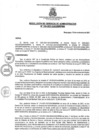 Vista preliminar de documento rga3382021gagmmpmn