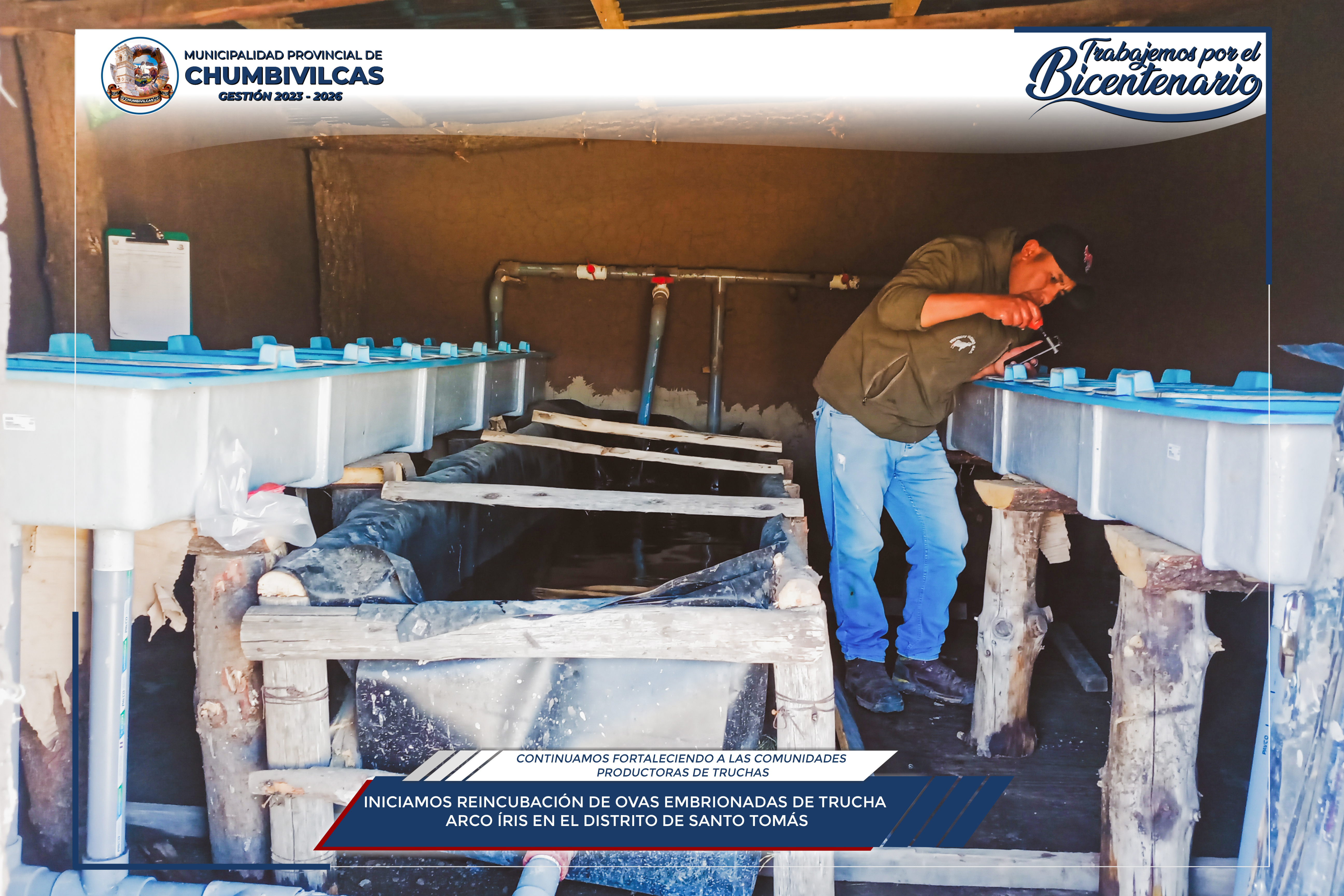 Chumbivilcas: Inicia reincubación de ovas embrionadas de trucha arco íris en el distrito de Santo Tomás