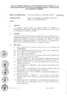 Vista preliminar de documento DG N° 003