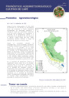 Vista preliminar de documento cafe_monitoreo_1set23