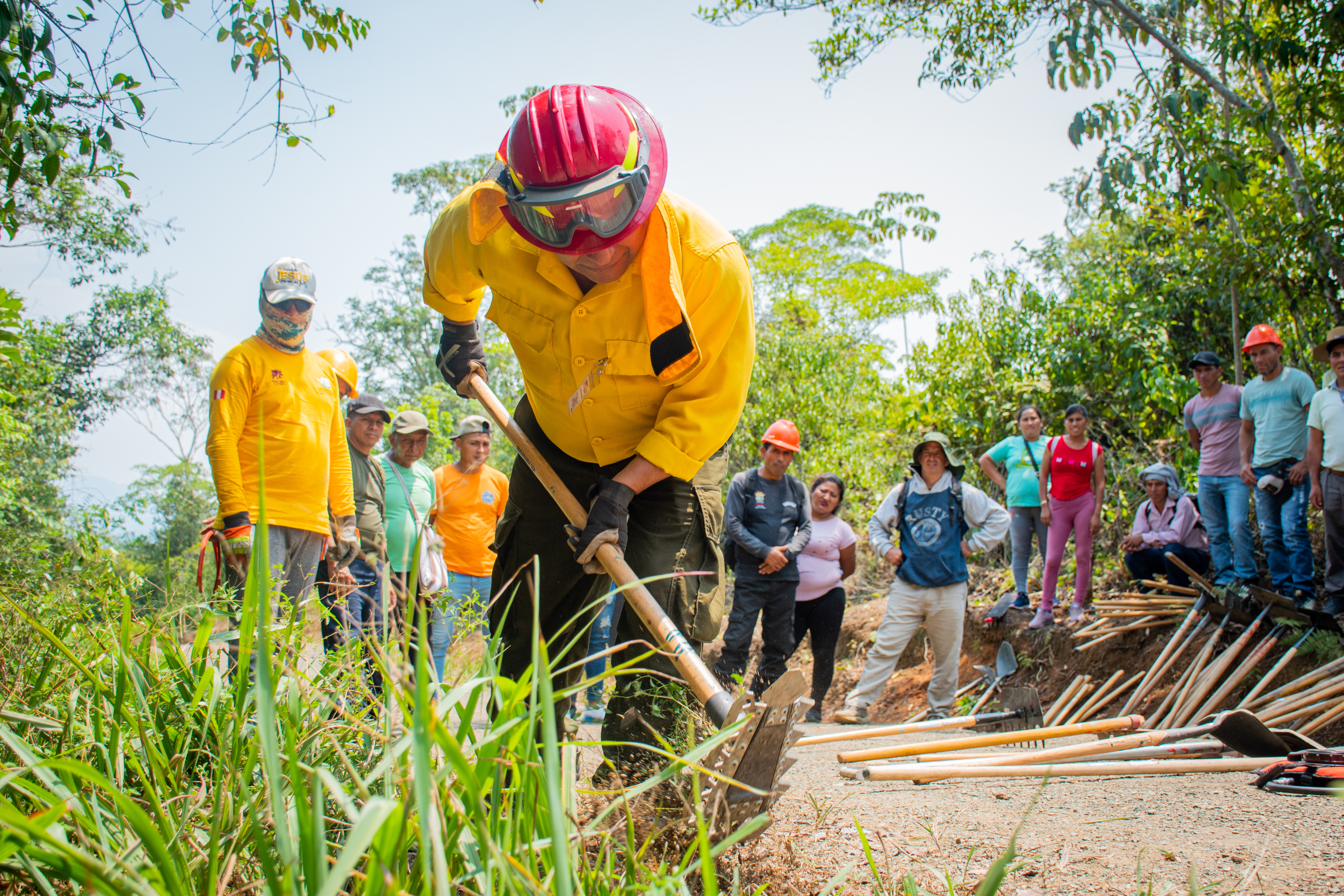 Capacitación estratégica para hacer frente a incendios forestales