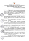 Vista preliminar de documento RDE Nº 138-2023 MODIFICACION ANALITICO  Nº 006- PALIILLO