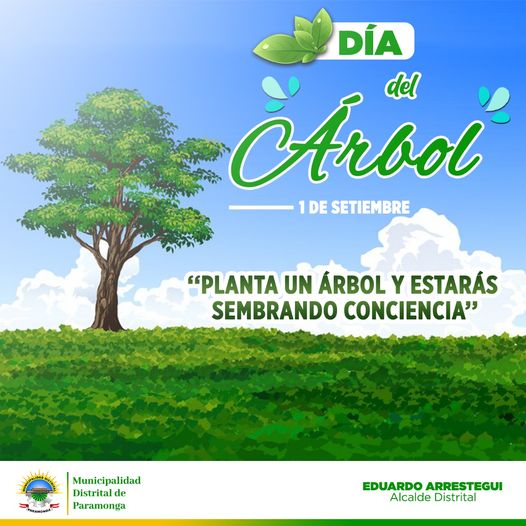 Imagen1