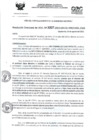 Vista preliminar de documento RD- 3007