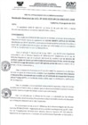Vista preliminar de documento RD- 3010