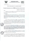 Vista preliminar de documento RD- 3015