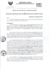 Vista preliminar de documento RD- 3017