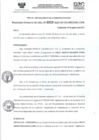 Vista preliminar de documento RD- 3019