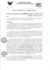 Vista preliminar de documento RD- 3028