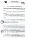 Vista preliminar de documento RD- 3029