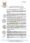 Vista preliminar de documento RA 369-2023-MPHH