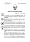 Vista preliminar de documento RD 134-2023-SA-DG-INR