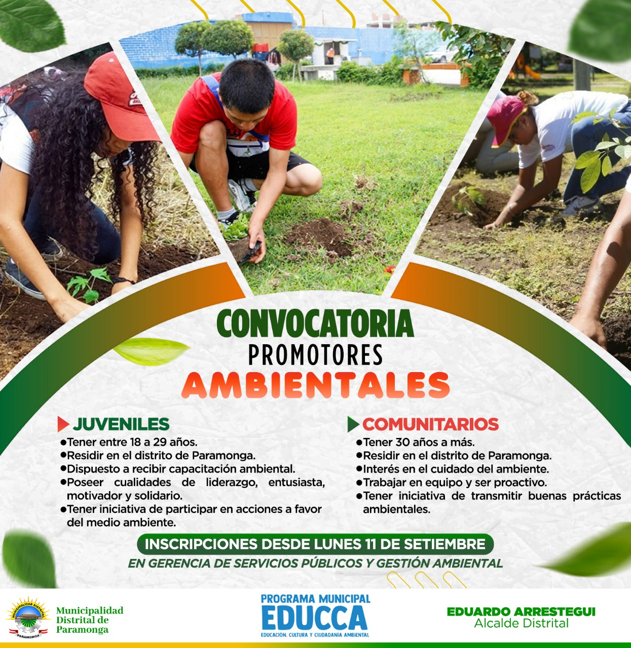 Imagen1