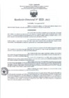 Vista preliminar de documento RD- 3033