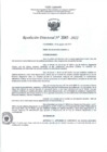 Vista preliminar de documento RD- 3041