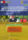 Vista preliminar de documento PronosticoEnfermedades150923