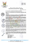 Vista preliminar de documento RA 378-2023-MPHH