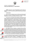 Vista preliminar de documento RM 000376-2023 - MC