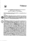 Vista preliminar de documento Anexo_RP_110_2023_PE_