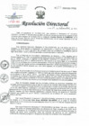 Vista preliminar de documento RD-273-2023-DG-HNHU