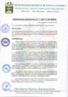Vista preliminar de documento ORDENANZA MUNICIPAL Nº11-2017-MDNC