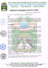 Vista preliminar de documento ORDENANZA MUNICIPAL Nº19-2017-MDNC
