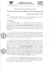 Vista preliminar de documento RD- 3161