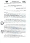 Vista preliminar de documento RD- 3163