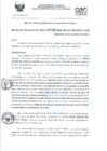 Vista preliminar de documento RD- 3166