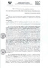 Vista preliminar de documento RD- 3172